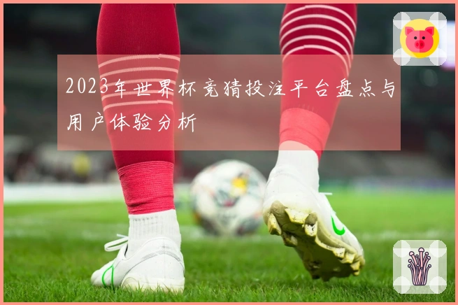 2023年世界杯竞猜投注平台盘点与用户体验分析