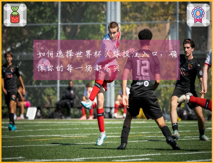 如何选择世界杯买球投注入口，确保你的每一场都尽兴