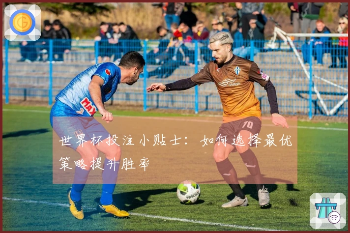 世界杯投注小贴士：如何选择最优策略提升胜率