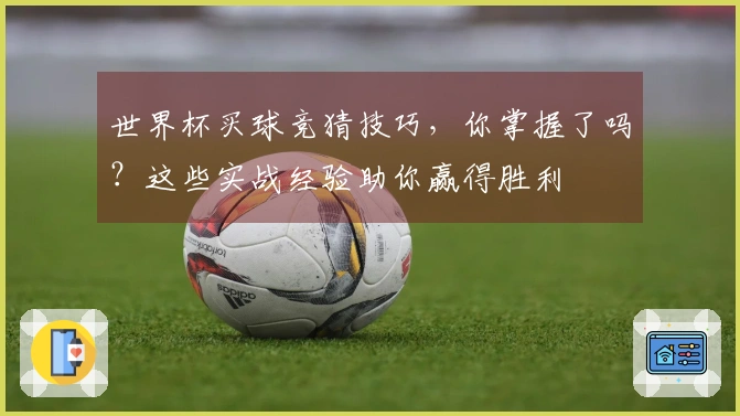 世界杯买球竞猜技巧，你掌握了吗？这些实战经验助你赢得胜利