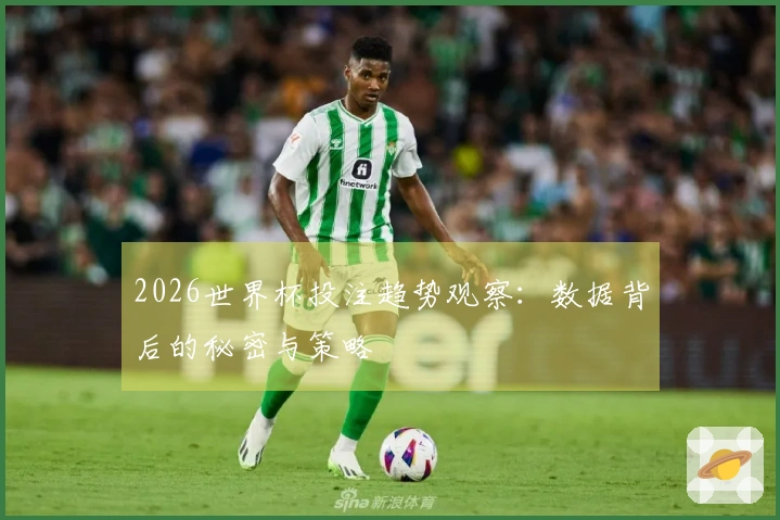 2026世界杯投注趋势观察：数据背后的秘密与策略