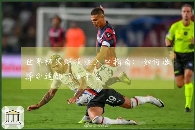 世界杯买球投注入口指南：如何选择合适的下注平台