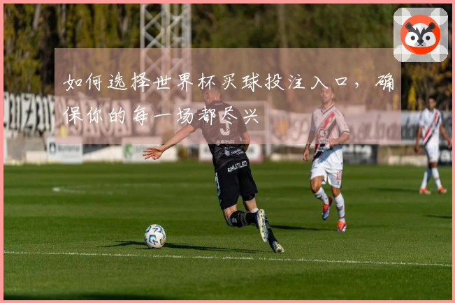 如何选择世界杯买球投注入口，确保你的每一场都尽兴
