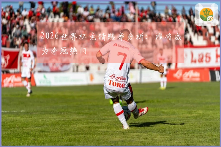 2026世界杯竞猜赔率分析：谁将成为夺冠热门