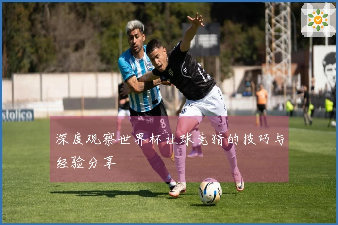 深度观察世界杯让球竞猜的技巧与经验分享