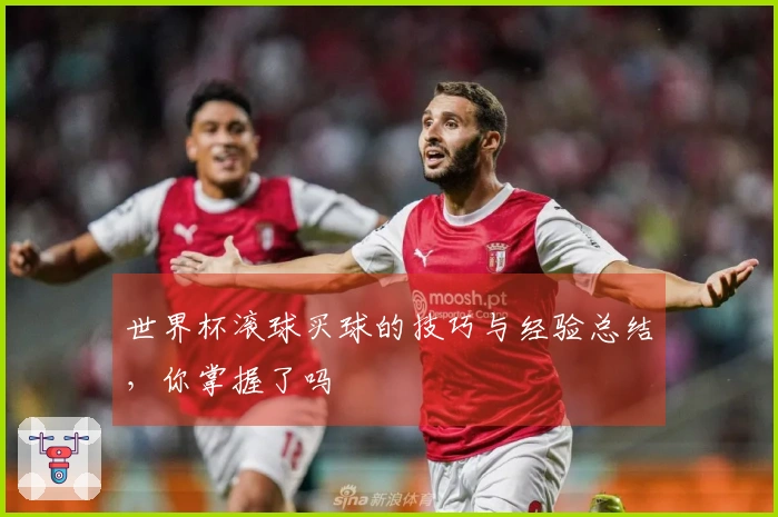 世界杯滚球买球的技巧与经验总结，你掌握了吗
