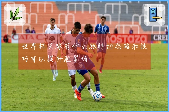 世界杯买球有什么独特的思路和技巧可以提升胜算吗
