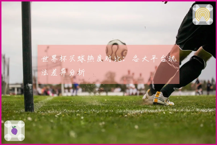 世界杯买球热度对比：各大平台玩法差异分析