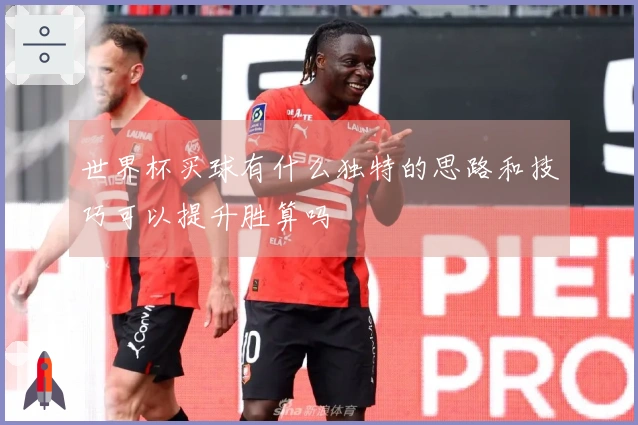 世界杯买球有什么独特的思路和技巧可以提升胜算吗