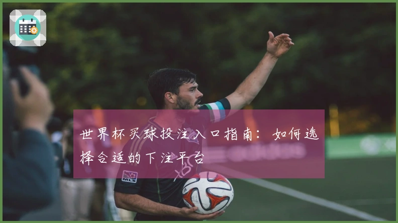 世界杯买球投注入口指南：如何选择合适的下注平台
